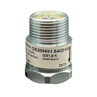 Gas Excess Flow Valve 1.6 downward flow (DN20) / (3/4")